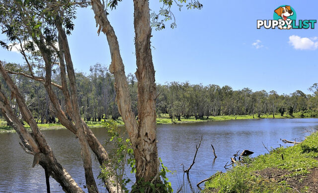 Lot 1-29 Tantitha Rise Estate GOOBURRUM QLD 4670