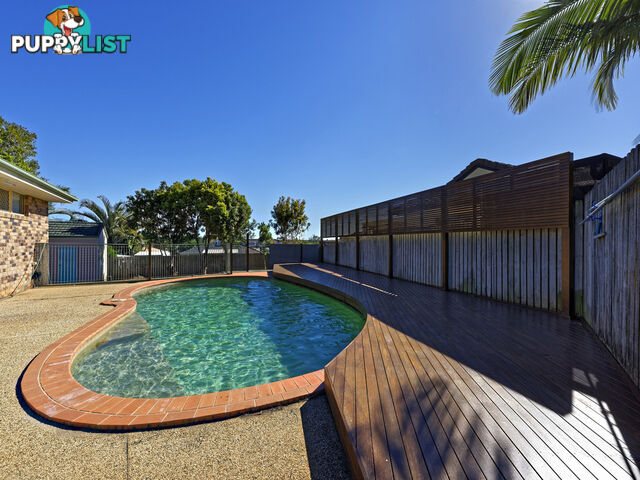 7 Palazzina Court AVOCA QLD 4670