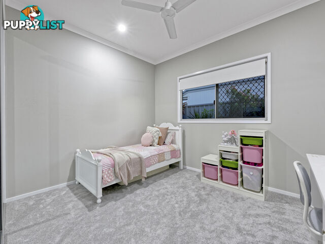 41 Sanctuary Drive ASHFIELD QLD 4670