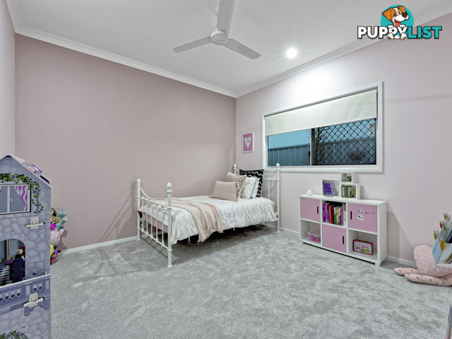 41 Sanctuary Drive ASHFIELD QLD 4670