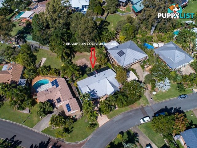 7 Brampton Court BUDERIM QLD 4556