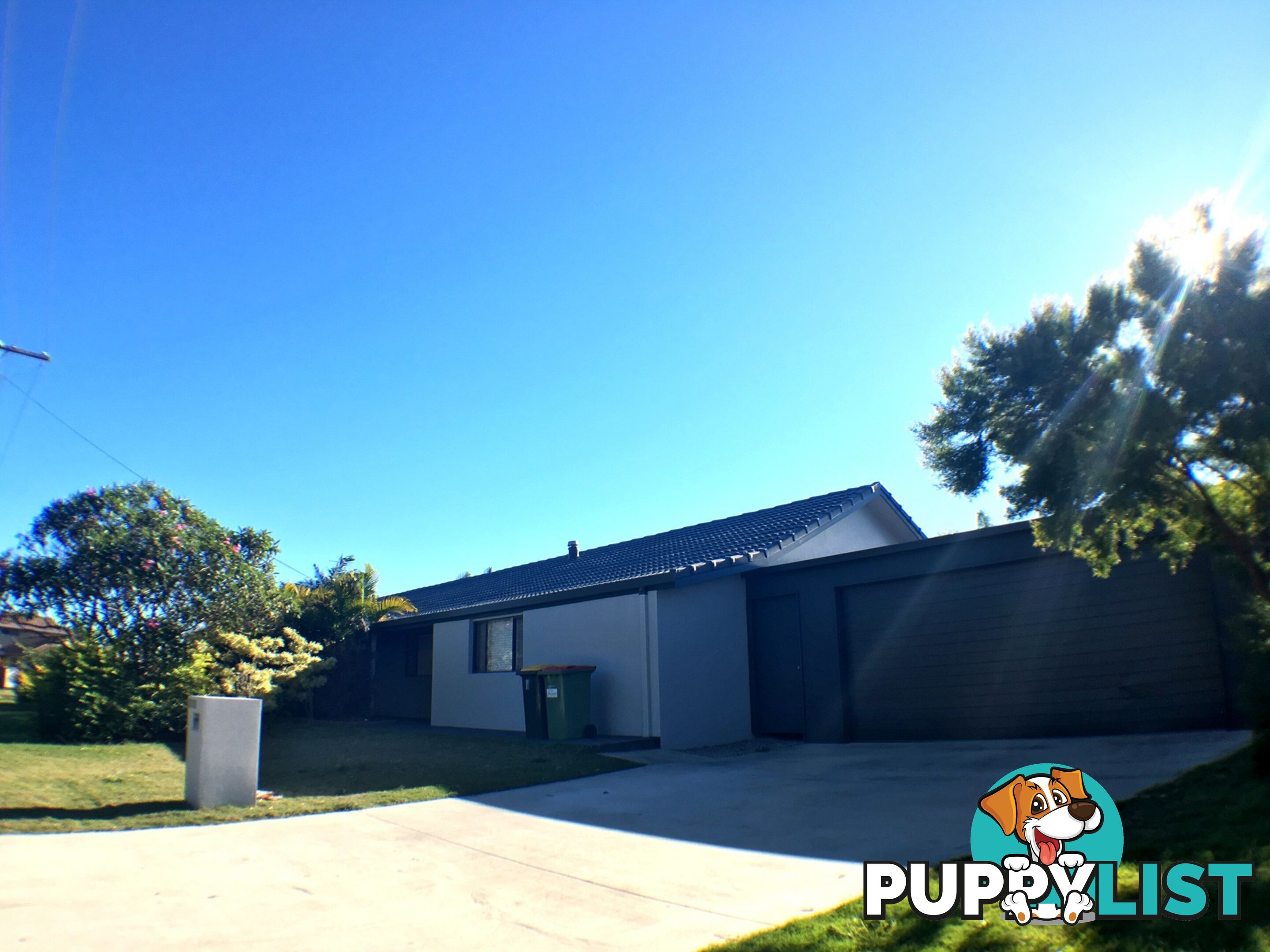 81 Cootamundra Drive MOUNTAIN CREEK QLD 4557