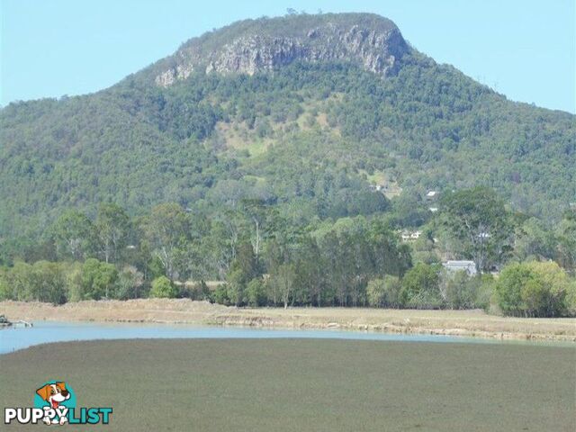 101 Yandina Bli Bli Road YANDINA QLD 4561