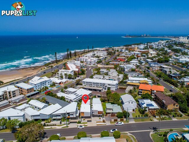 7A Mary Street ALEXANDRA HEADLAND QLD 4572