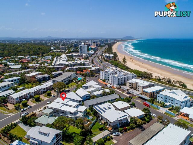 7A Mary Street ALEXANDRA HEADLAND QLD 4572