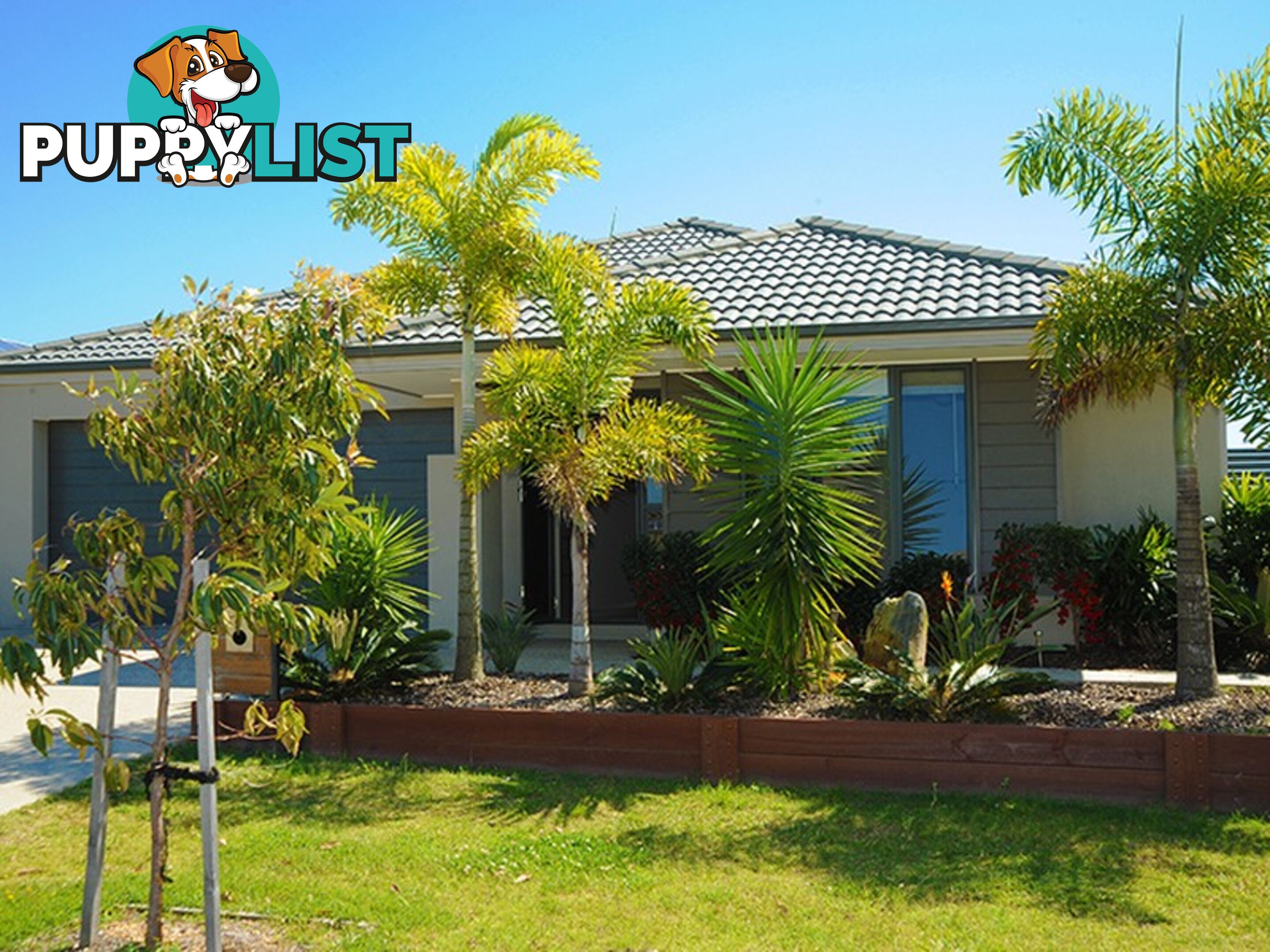 33 Foxtail Circuit MOUNTAIN CREEK QLD 4557