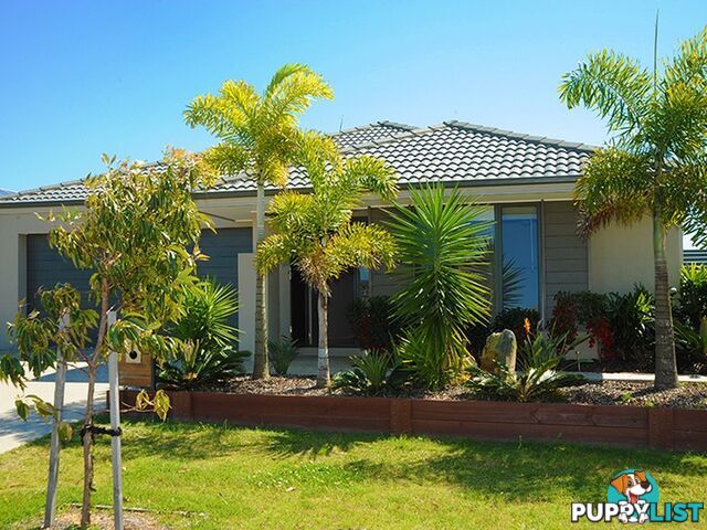 33 Foxtail Circuit MOUNTAIN CREEK QLD 4557