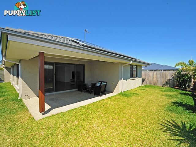 33 Foxtail Circuit MOUNTAIN CREEK QLD 4557