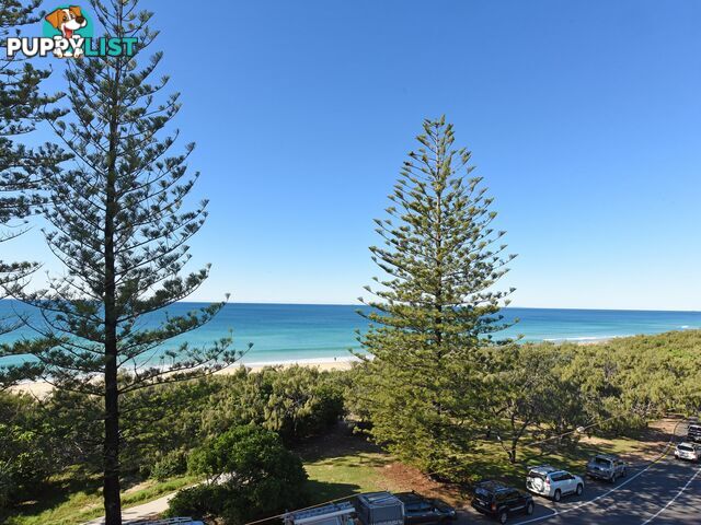 Unit 6/9 Pacific Boulevard BUDDINA QLD 4575