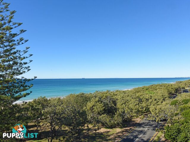 Unit 6/9 Pacific Boulevard BUDDINA QLD 4575