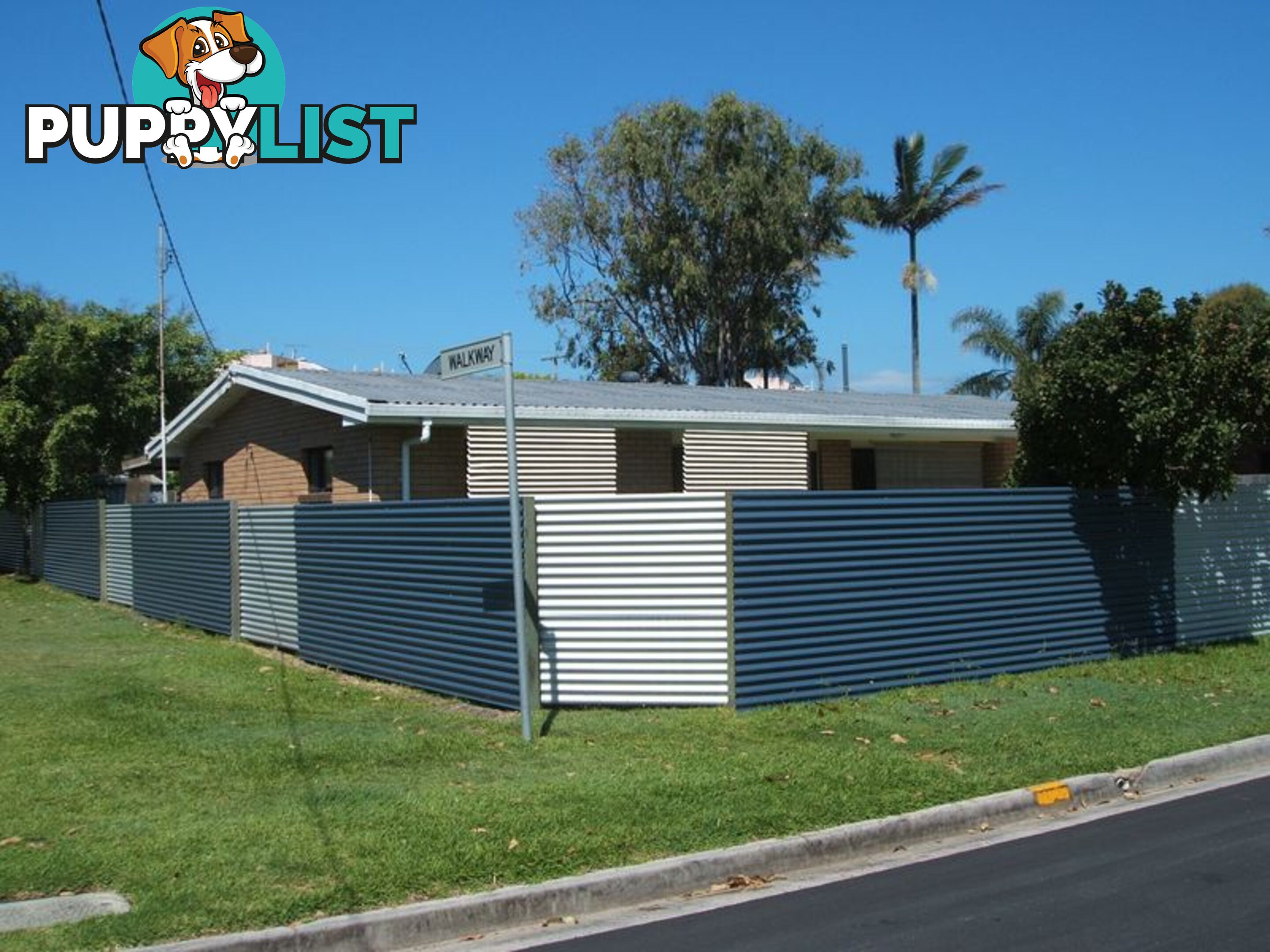 11 Kyeema Street BUDDINA QLD 4575