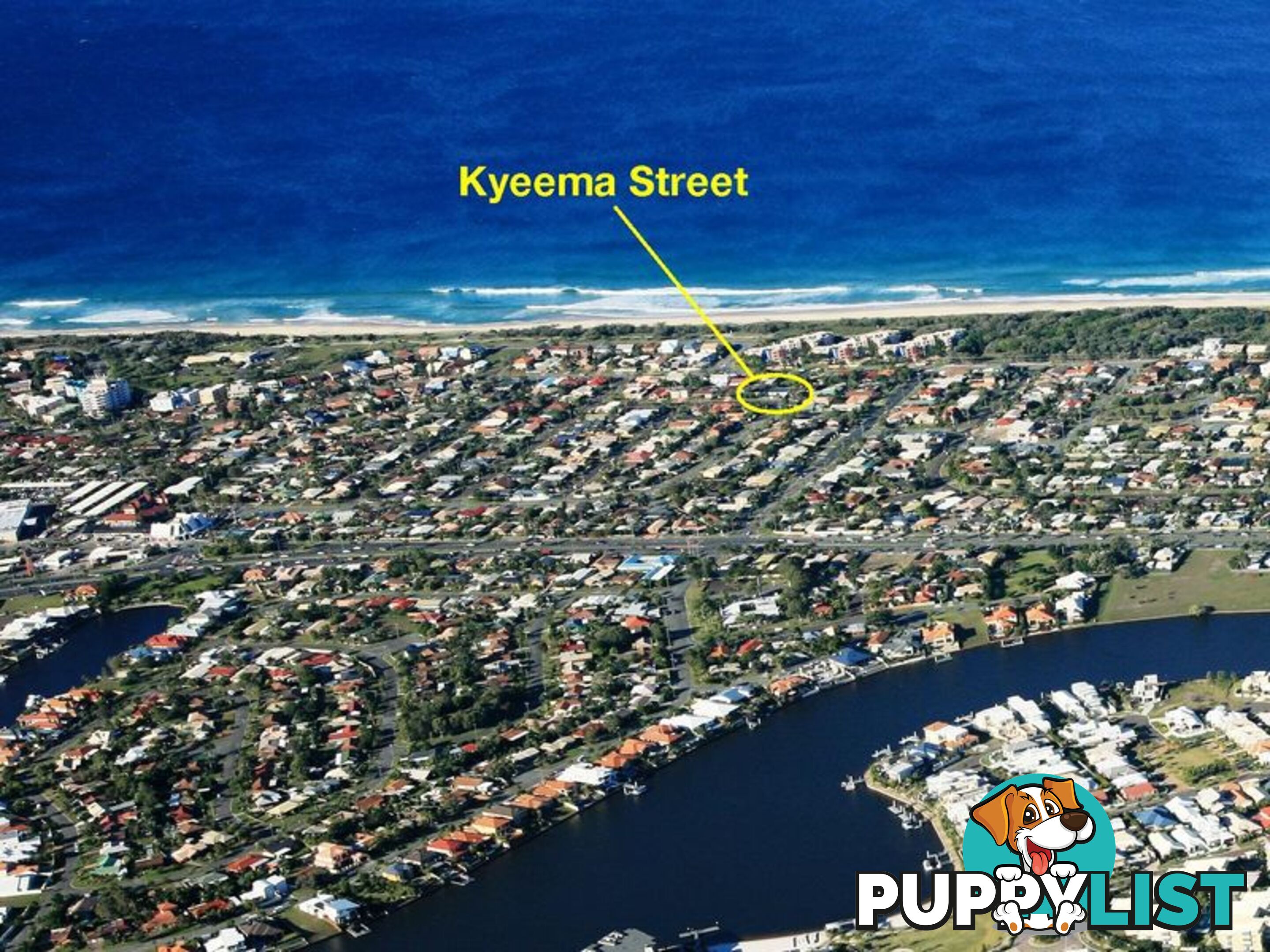 11 Kyeema Street BUDDINA QLD 4575