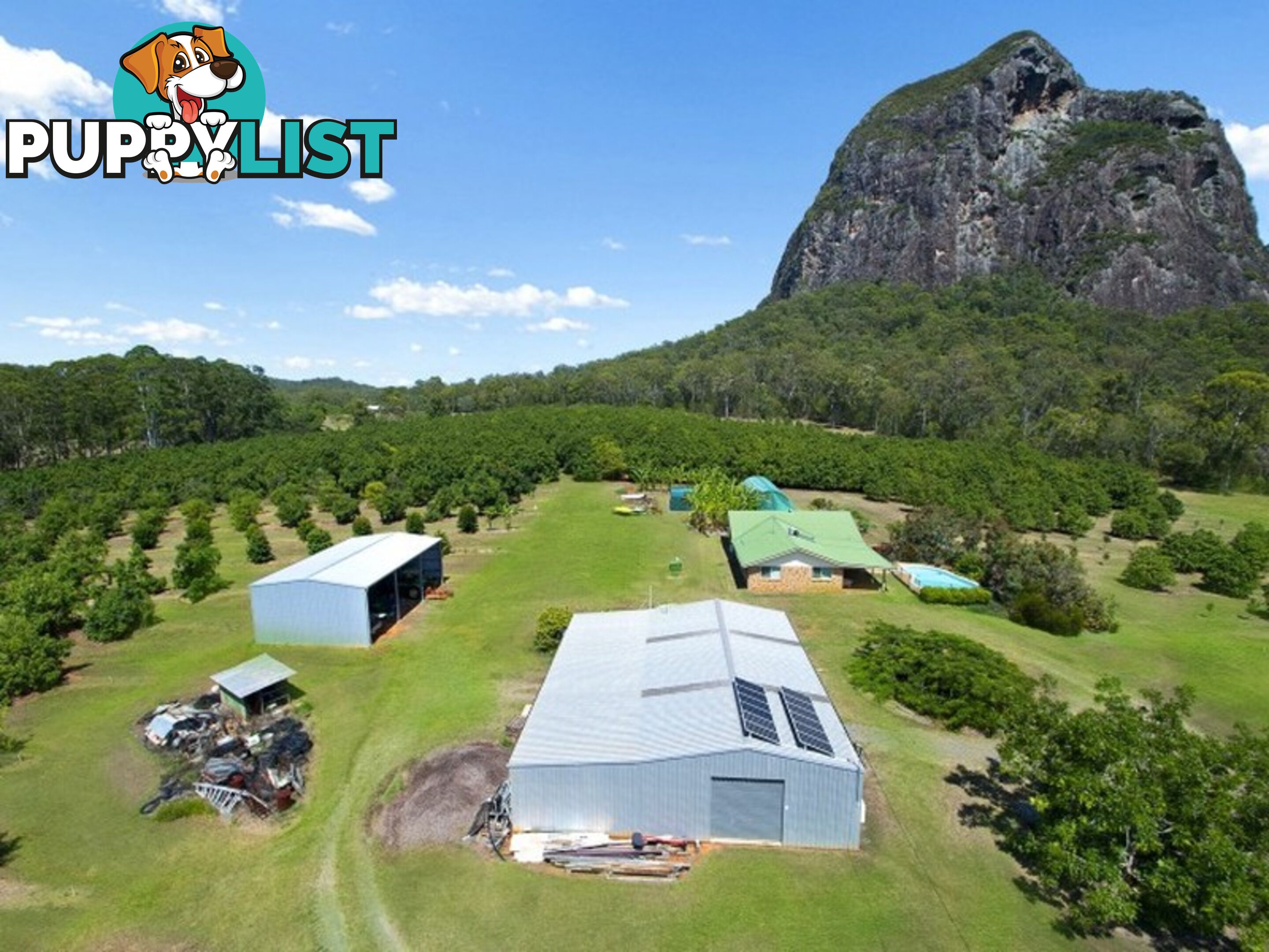 21 Burns Road GLASSHOUSE MOUNTAINS QLD 4518