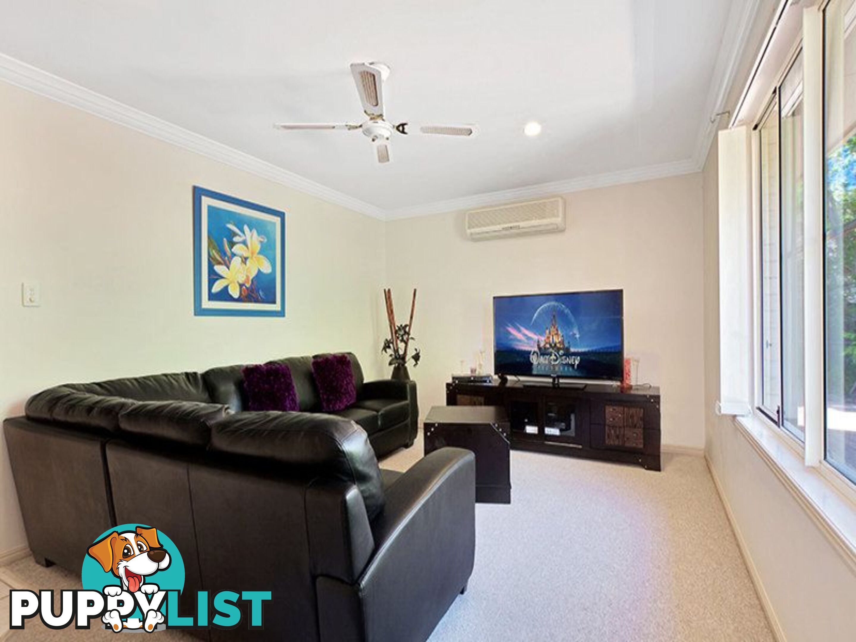 1/5 Karri Court MOUNTAIN CREEK QLD 4557