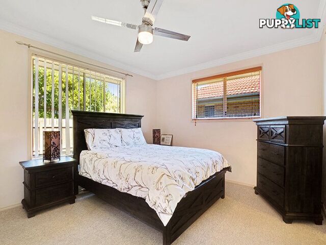 1/5 Karri Court MOUNTAIN CREEK QLD 4557