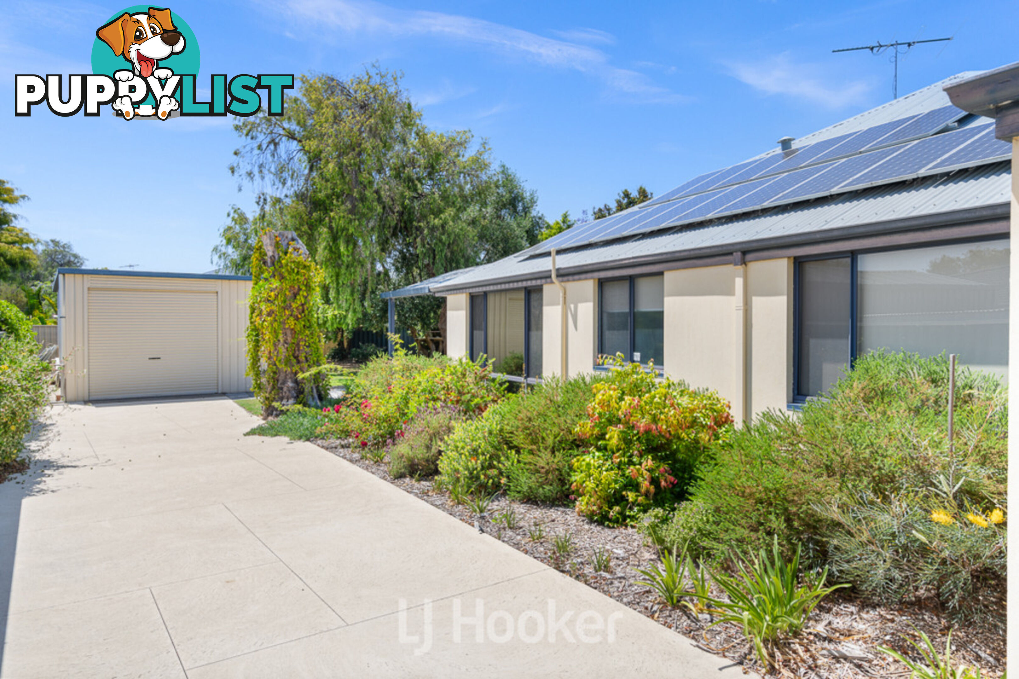 8 Westminster Avenue WEST BUSSELTON WA 6280