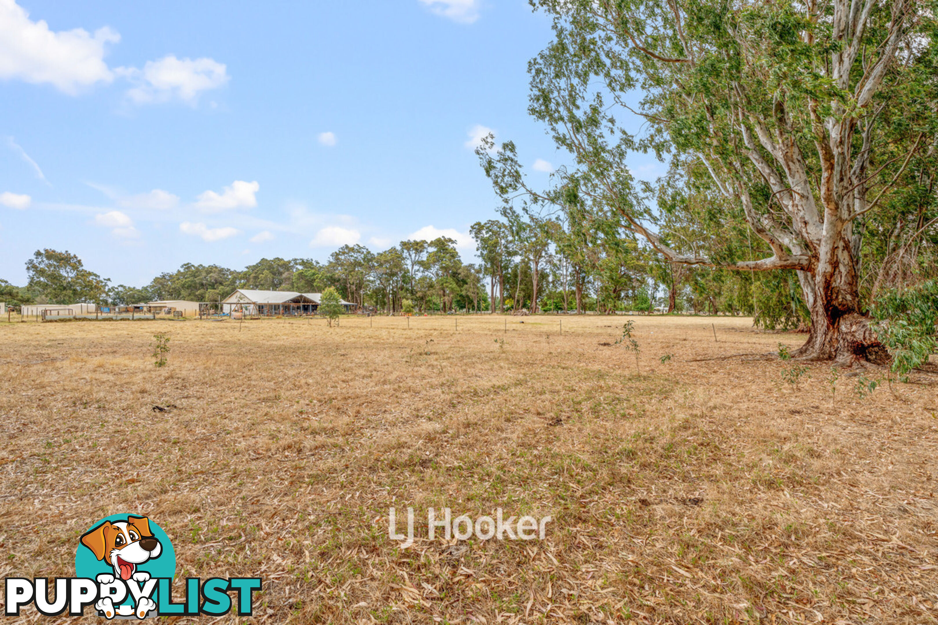 Proposed L William Street BOYANUP WA 6237