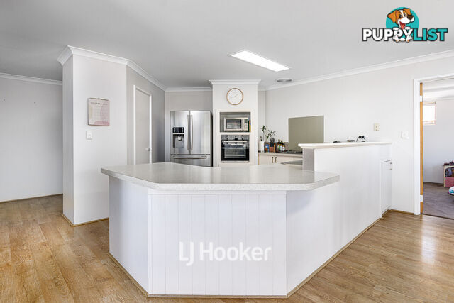 3 Onyx Brace AUSTRALIND WA 6233