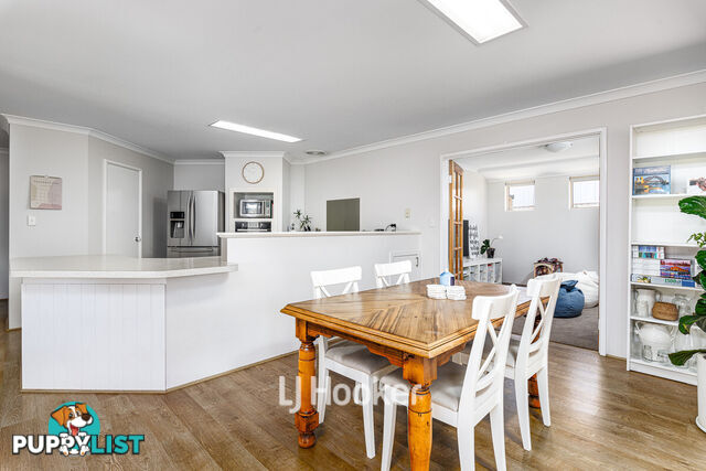 3 Onyx Brace AUSTRALIND WA 6233