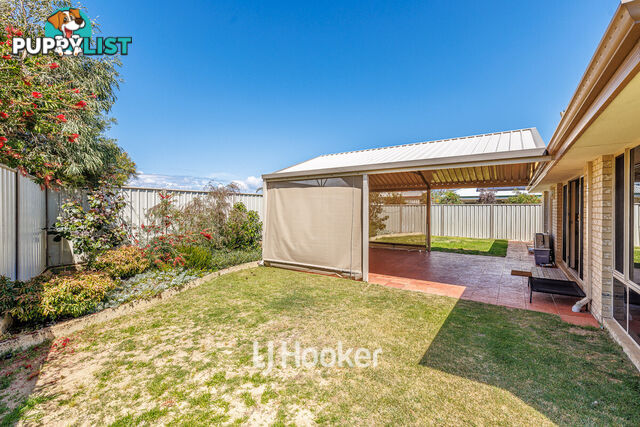 3 Onyx Brace AUSTRALIND WA 6233