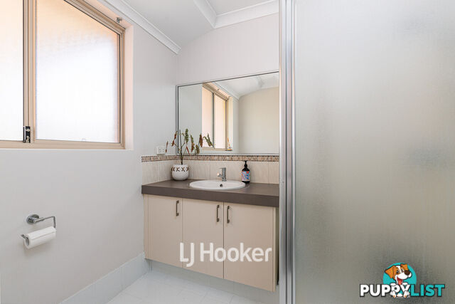 3 Onyx Brace AUSTRALIND WA 6233