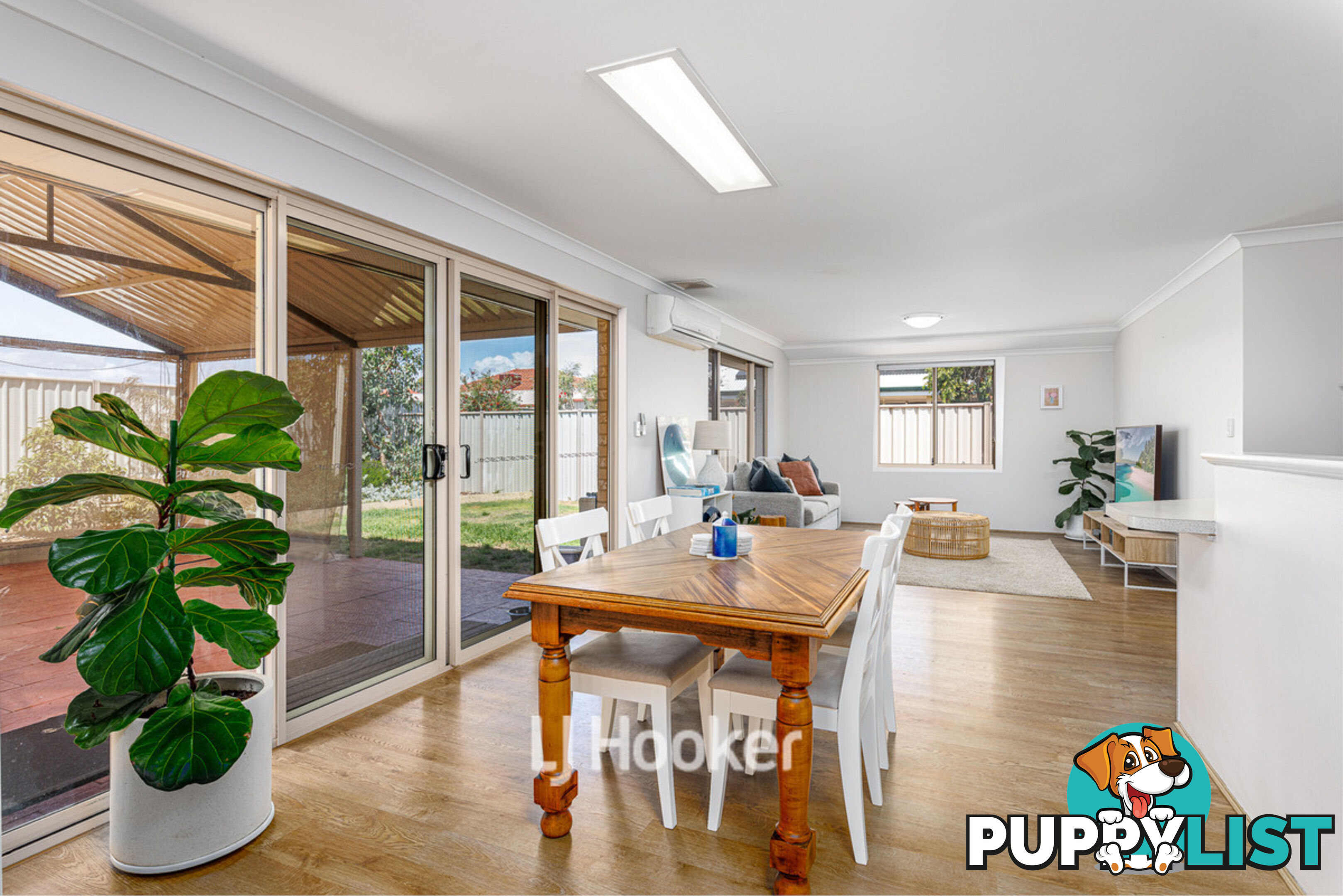 3 Onyx Brace AUSTRALIND WA 6233