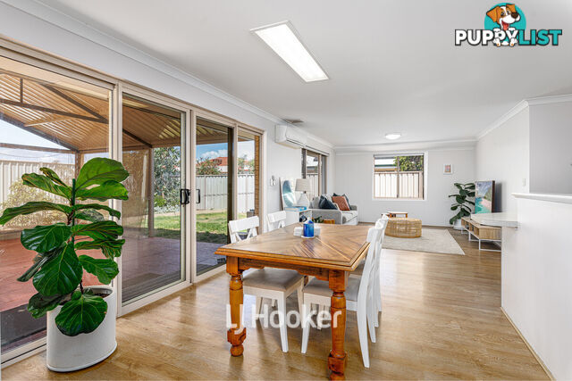 3 Onyx Brace AUSTRALIND WA 6233