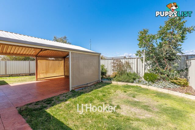 3 Onyx Brace AUSTRALIND WA 6233