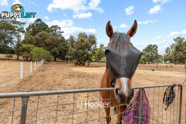 90 Foster Street COLLIE WA 6225