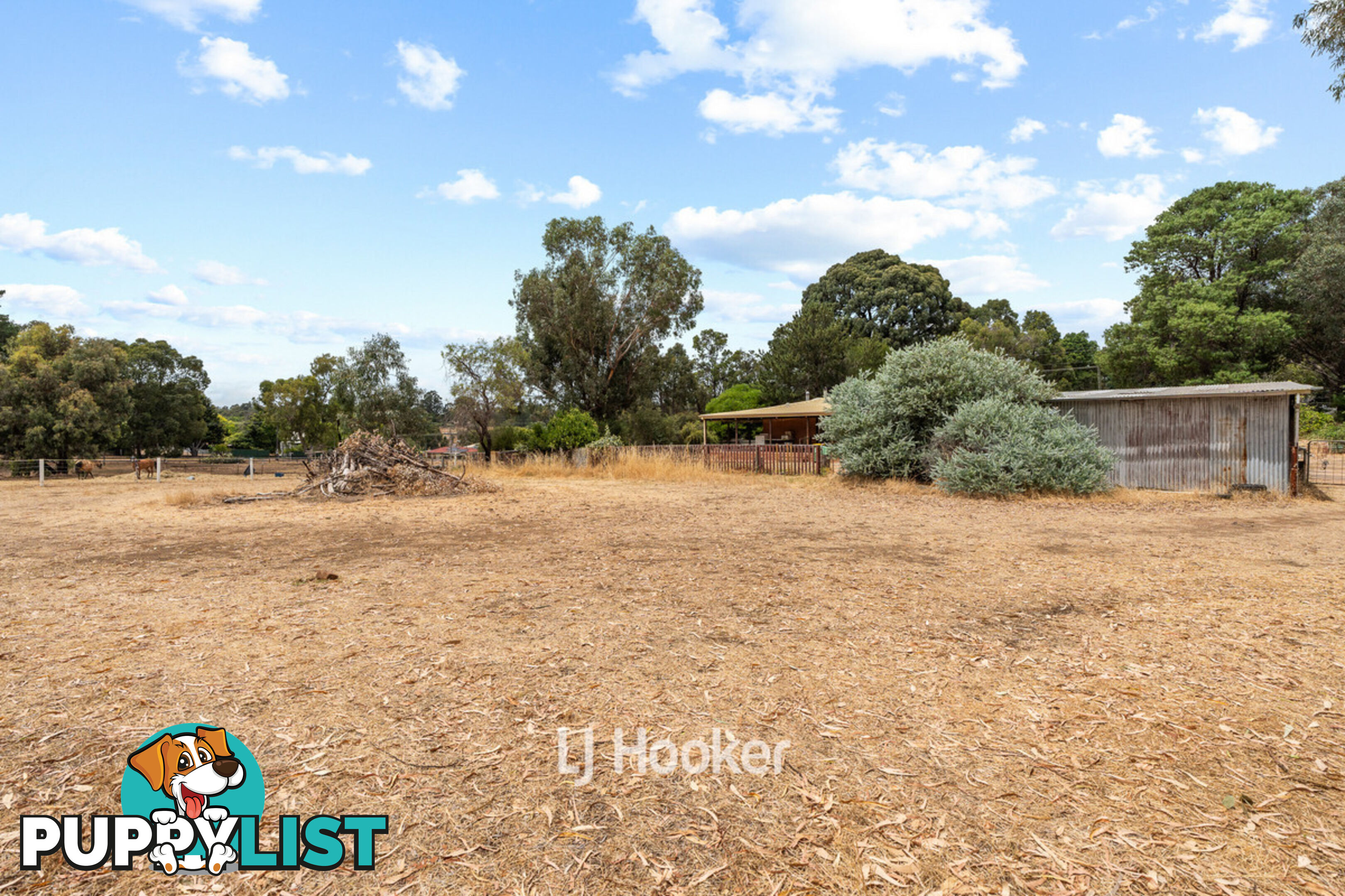 90 Foster Street COLLIE WA 6225