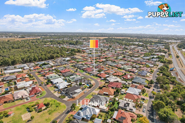 7 Isandra Bend GLEN IRIS WA 6230