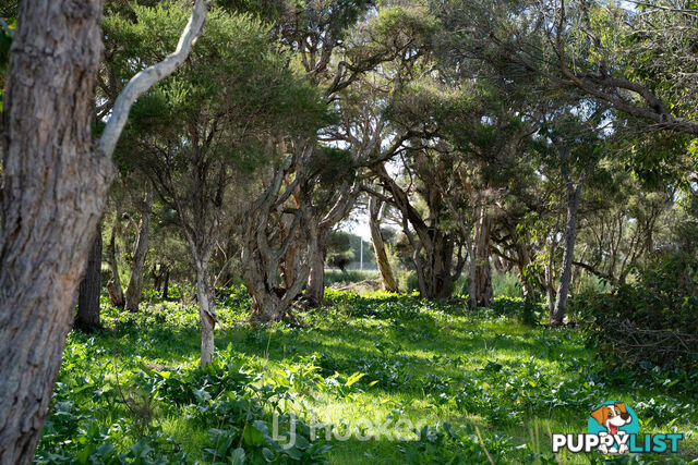 27 Torrey Loop DUNSBOROUGH WA 6281
