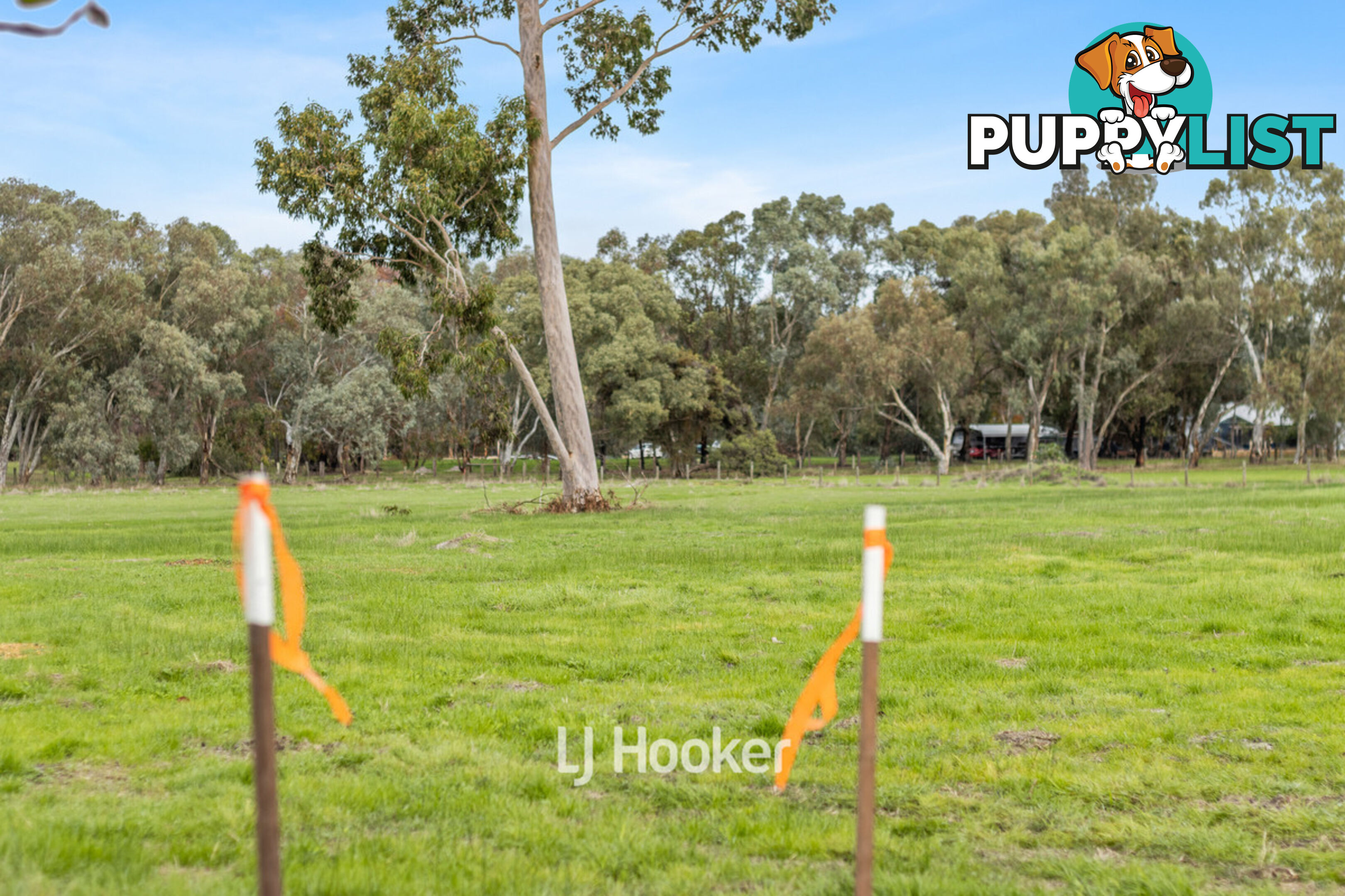 Lot 4 Padbury Road DARDANUP WEST WA 6236