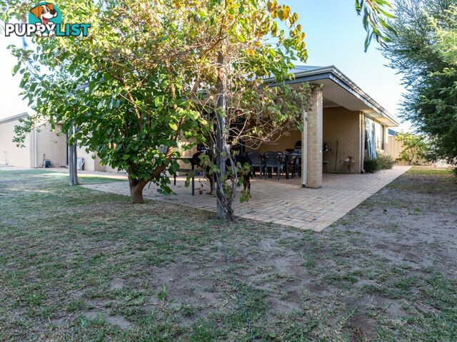 11 Hoskins Way AUSTRALIND WA 6233