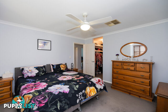 16 Pearl Link AUSTRALIND WA 6233