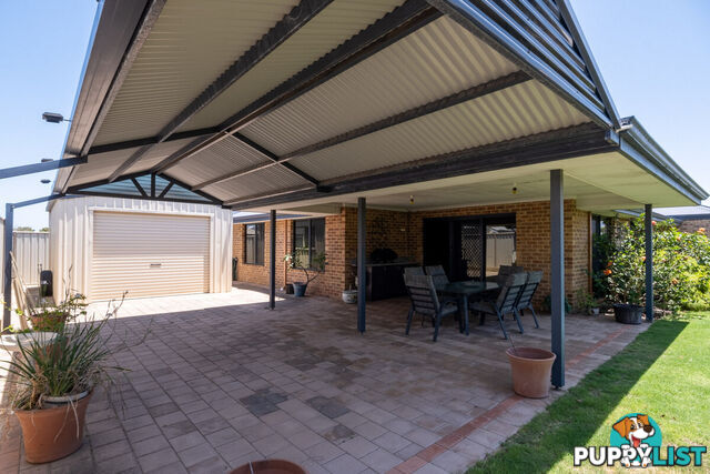 16 Pearl Link AUSTRALIND WA 6233