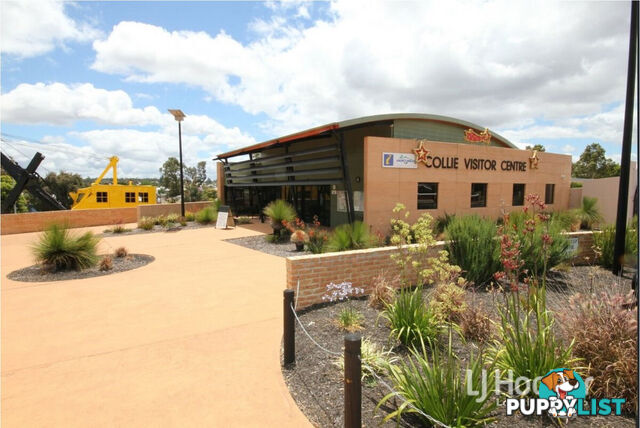 66 Porter Street COLLIE WA 6225