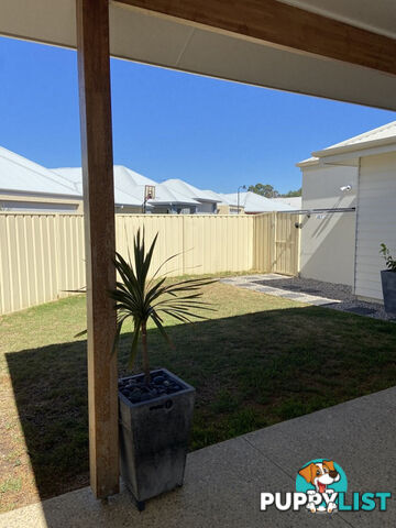 6 Belpaire Entrance WEST BUSSELTON WA 6280
