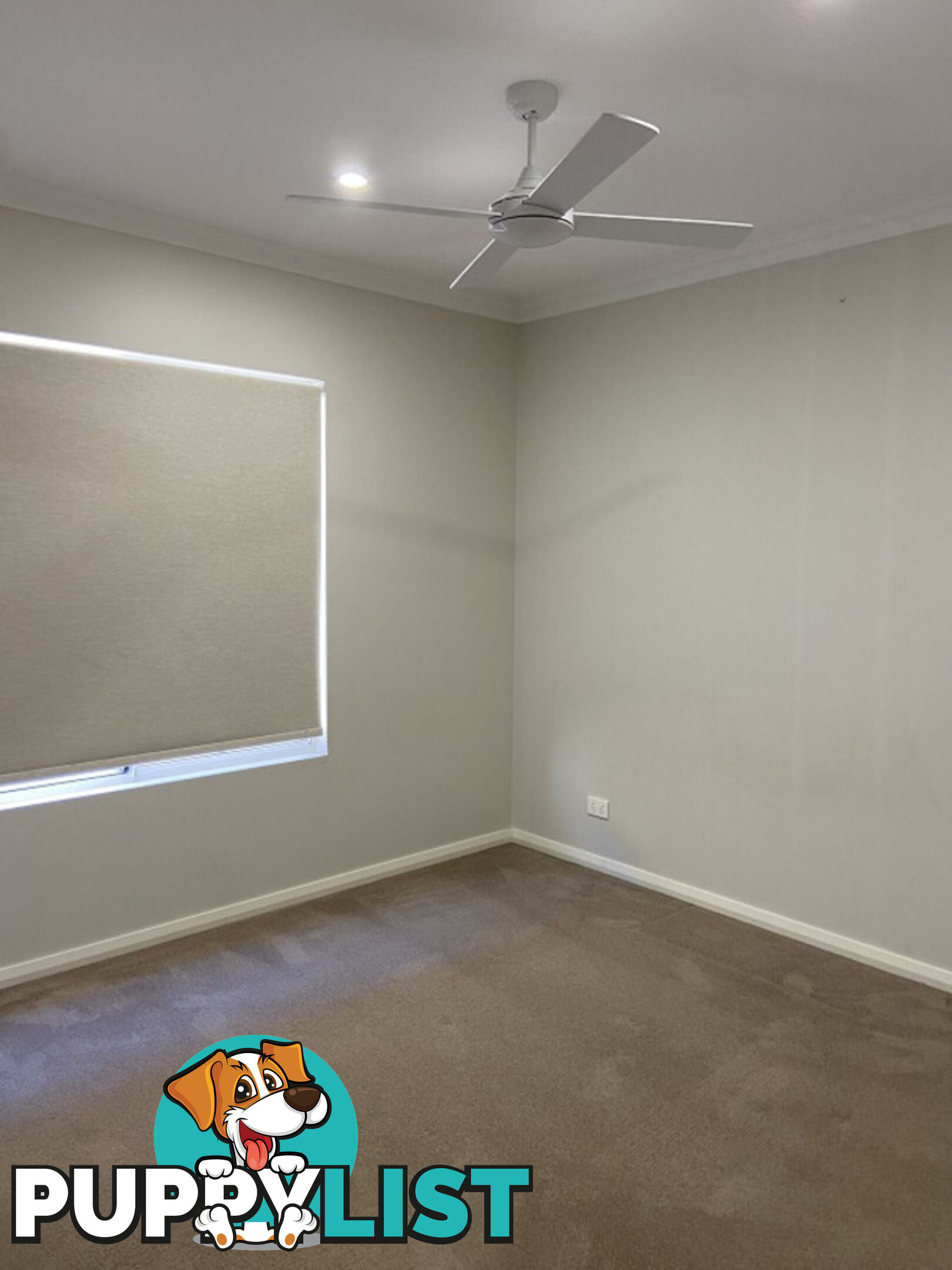 6 Belpaire Entrance WEST BUSSELTON WA 6280