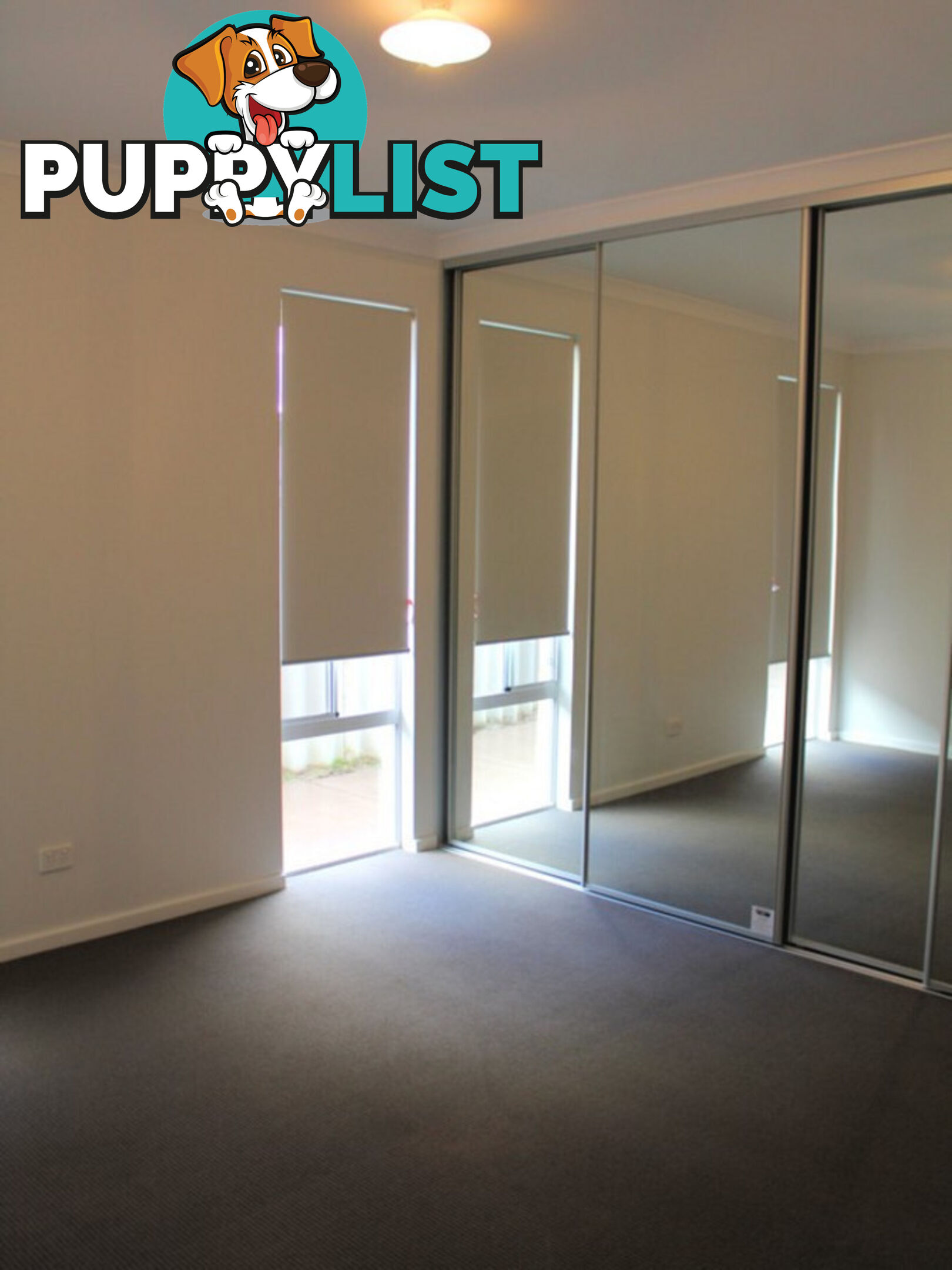 14A Enderby Court AUSTRALIND WA 6233