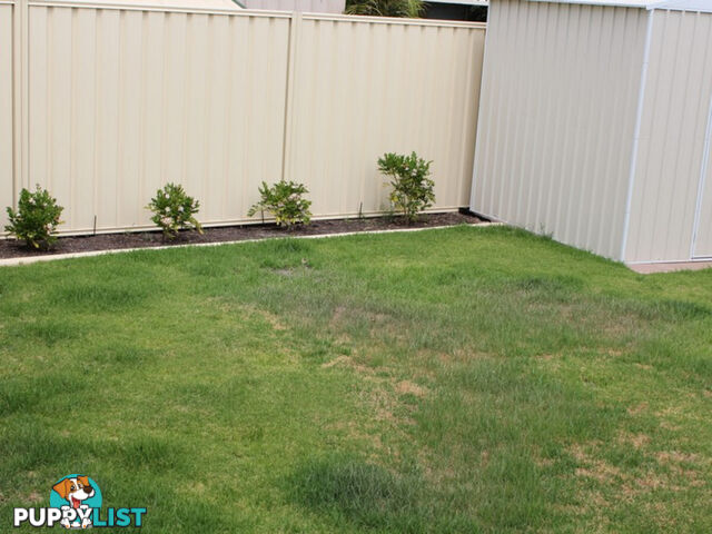 14A Enderby Court AUSTRALIND WA 6233