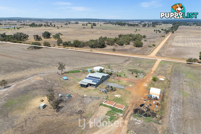 49 Gulberti Road RUABON WA 6280
