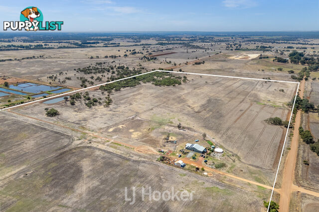 49 Gulberti Road RUABON WA 6280