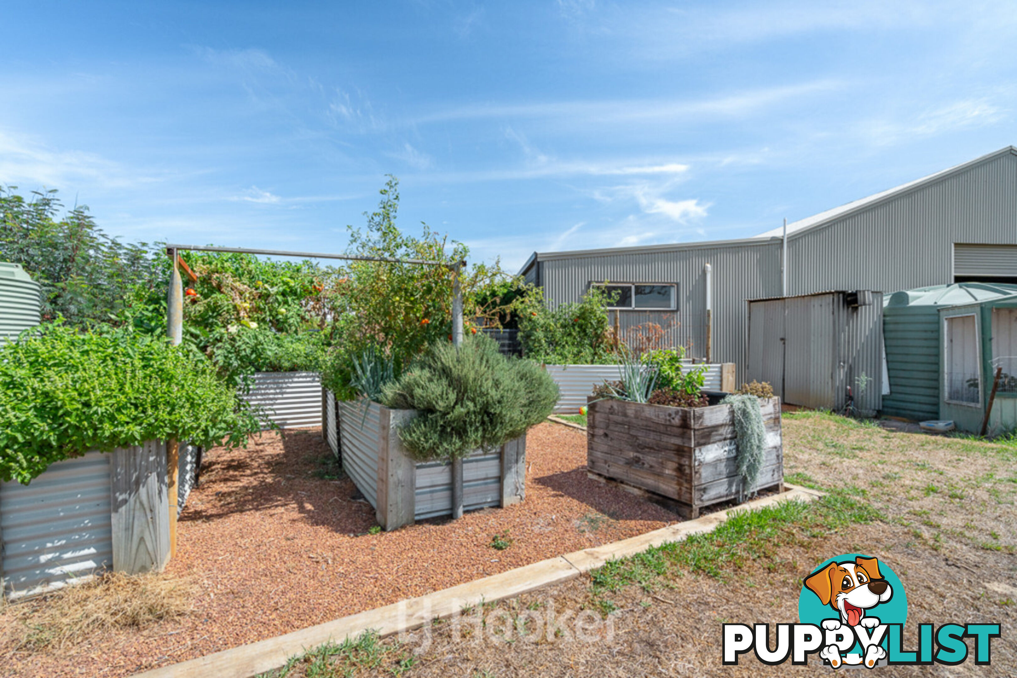 49 Gulberti Road RUABON WA 6280