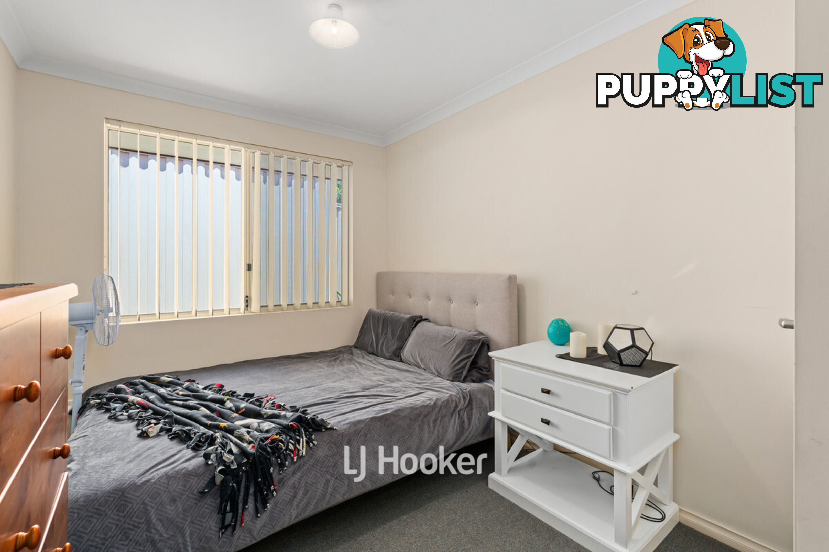 1/8 Ash Mews COLLIE WA 6225