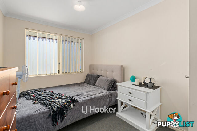 1/8 Ash Mews COLLIE WA 6225