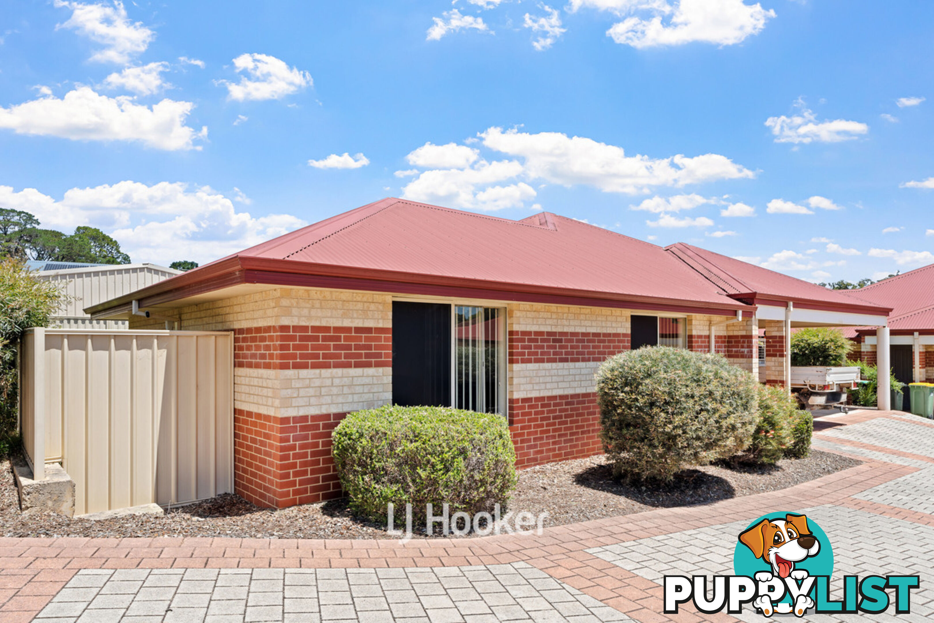 1/8 Ash Mews COLLIE WA 6225