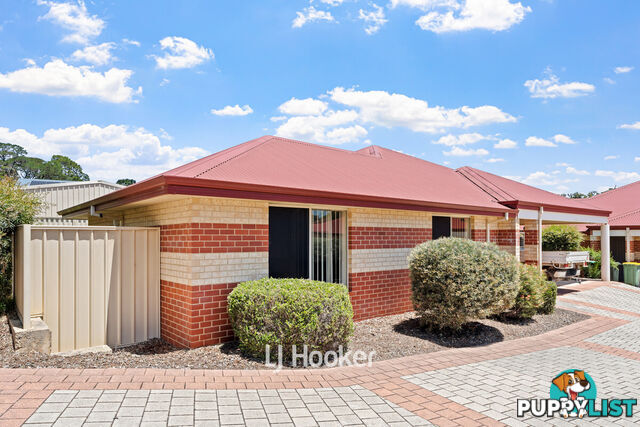 1/8 Ash Mews COLLIE WA 6225