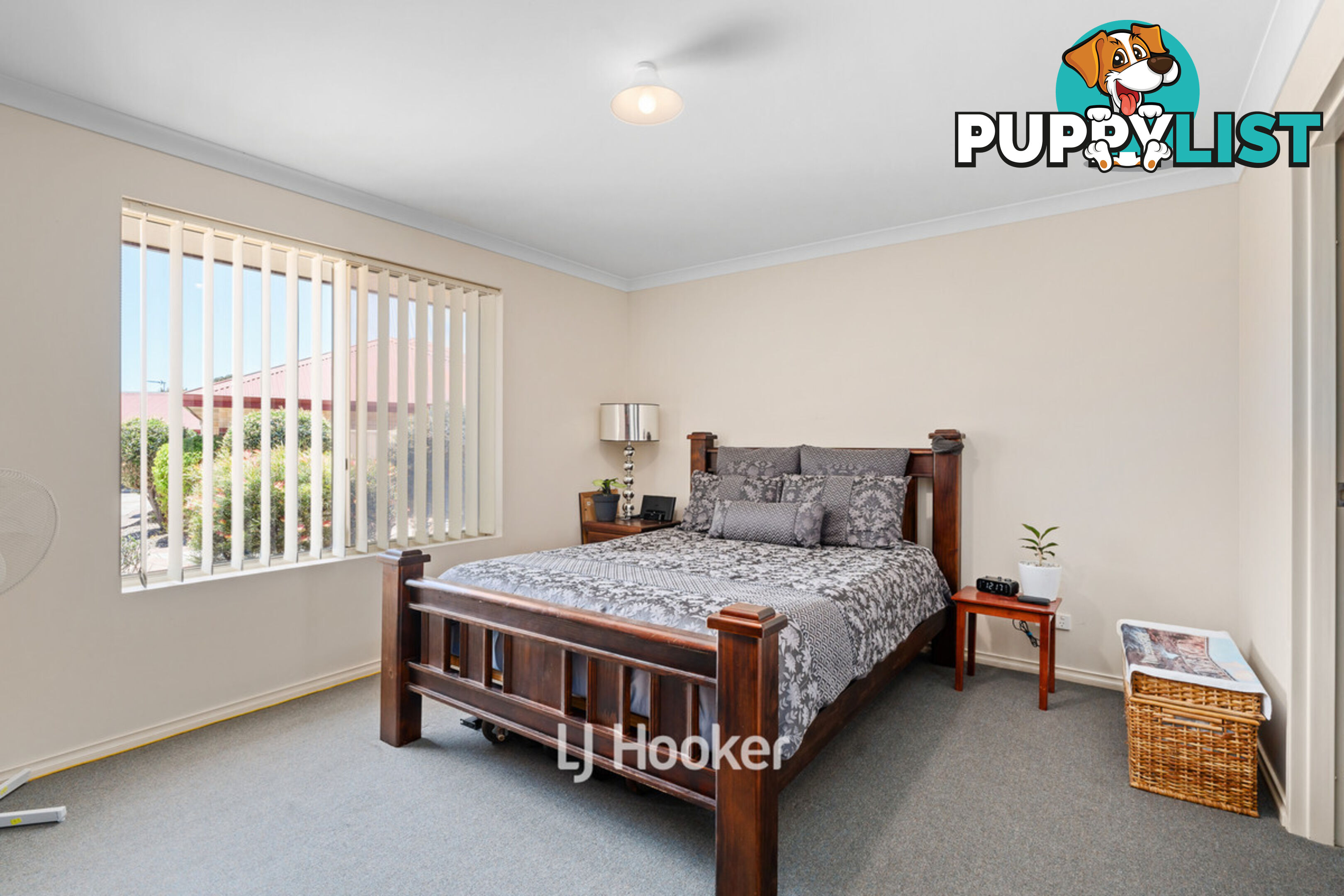 1/8 Ash Mews COLLIE WA 6225