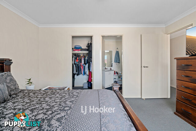 1/8 Ash Mews COLLIE WA 6225